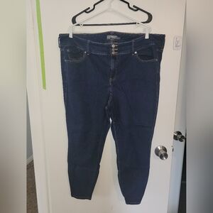 Torrid Blue Jeggings